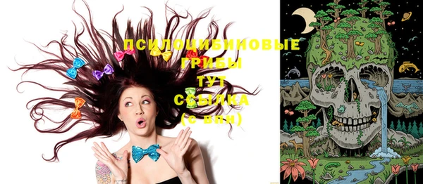 винт Алексин