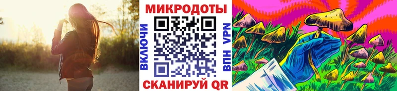 Псилоцибиновые грибы Psilocybine cubensis  закладки  Пикалёво 